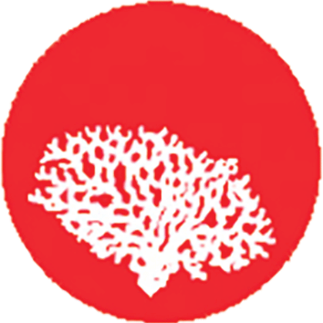 Cropped logo corail