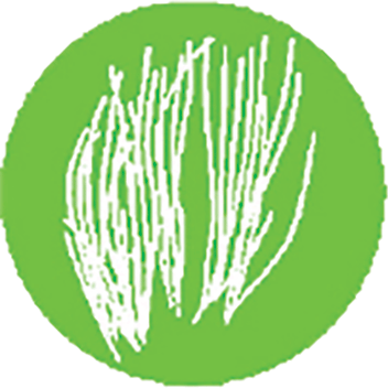 Cropped logo posidonie