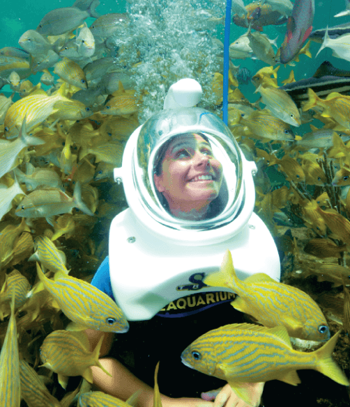 Sea trek